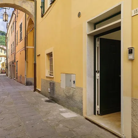 Il Timone E L'ulivo
